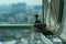 Closeup birds in a nest on the steel cage of air conditioner at the terrace of high condominium with blurred cityscape background