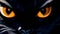 Closeup of black cat with orange eyes during Halloween night