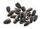 Closeup of black sunflower seeds isolated on white background. Pile of sunflower seeds.