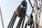 Closeup of block and tackle, wrapped rope and rigging detail on an old sailing ship