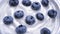 Closeup Blueberries in natural yogurt rotating. Seamless looping, Fruit background.