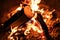 Closeup of bonfire or campfire, burning and glowing wooden logs