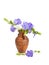 Closeup bouquet Lesser periwinkle in the clay jug