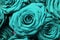 Closeup of a bouquet of turquoise roses under the lights