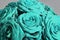 Closeup of a bouquet of turquoise roses under the lights