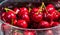 Closeup of bowl of wet red plump juicy cherries