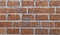 Closeup brick wall texture vector background