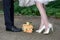 Closeup of bride and groom feet and wedding bouquet of flowers