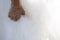 Closeup of a bride hand on wedding dress