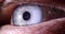 Closeup of bright blue gray male eye 4k movie slow motion