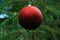 Closeup of a brilliant solid red glittery Christmas ball hanging outside