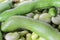 Closeup of broad bean - background, texture