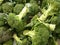 Closeup Broccoli