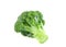 Closeup broccoli isolated on a white