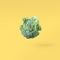 Closeup broccoli soars in the air on a yellow background with a shadow