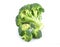 closeup broccoli on white background