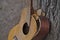 Closeup of a broken acoustic guitar leaning on a tree