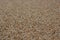 Closeup brown sandy beach background