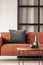 Closeup of brown velvet couch with grey pillow in bright living room interior
