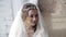 Closeup brunette bride with fashion wedding hairstyle and makeup