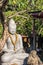 Closeup of Buddha at Statue shop in Denpasar, Bali Indonesia