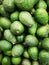 Closeup of bunch of fresh green avocado in the supermarket