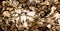 Closeup of a bunch of fresh raw white and brown maitake mushrooms