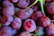 Closeup of bunch of fresh red grapes in traditional markets