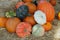 Closeup of bunch of pumpkins on field