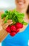 Closeup on bunch of radishes in hand of woman