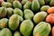 Closeup of bunch of ripe papayas