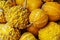 Closeup, of a bunch of ripe small pumpkins captured the market fo