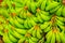 Closeup bundle of bananas