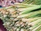 Closeup bundle of fresh organic lemon grass for retail sale in local market, Thailand