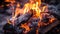 Closeup of burning coals from a fire, barbeque fire grilling campfire barbecue