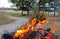 Closeup of burning green branches with pinecones