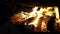 Closeup of burning logs in open flame campfire at night in slow motion