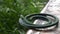 Closeup of burning mosquito coil on table with green blurred background