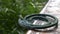 Closeup of burning mosquito coil on table with green blurred background