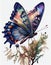 Closeup Butterfly Plant Painting Illustration.Red Brown Blue Princess Peacock Feathers South Korean City Black White Watercolor