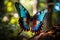 Closeup of a butterfly taking off with colorful wings