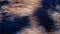 Closeup of calico fur of dog / cat. natural abstract background