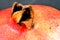 Closeup of the calyx of a pomegranate