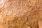 Closeup Camel Fur Texture