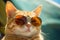 Closeup captures the mischievous charm of a ginger cat in sunglasses