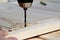 Closeup of a carpenter using metal drill bit to make holes in a wooden oaks plank.