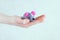 Closeup caucasian girl hand holds gray mouse. background