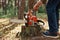 Closeup of chainsaw on wooden stump, faceless woodsman start saw, industrial destruction of trees, causing harm to the environment
