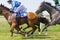 Closeup of a chaotic scene with jockeys riding arabian race horses side by side