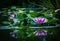 Closeup of a charming pond with water lilies